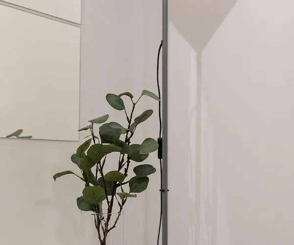 Flat 07 - New Opening